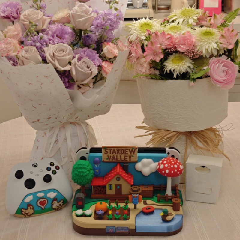 Switch Dock Stardew Valley Far – Gaming Console And recenzja i cena